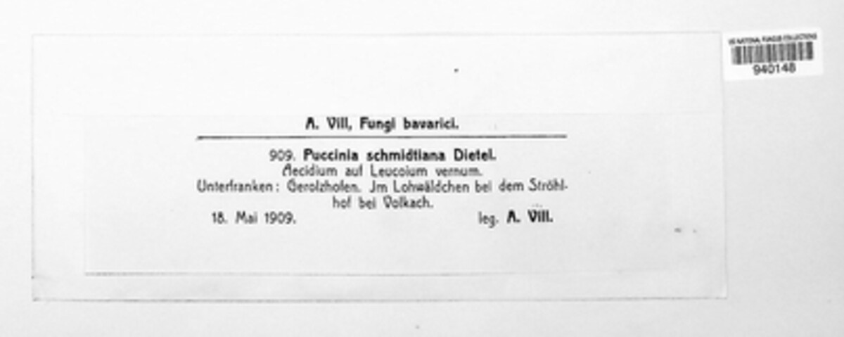 Puccinia schmidtiana image